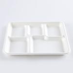Eco Friendly 5c Biodegradable Disposable Tray Sugarcane Bagasse Products