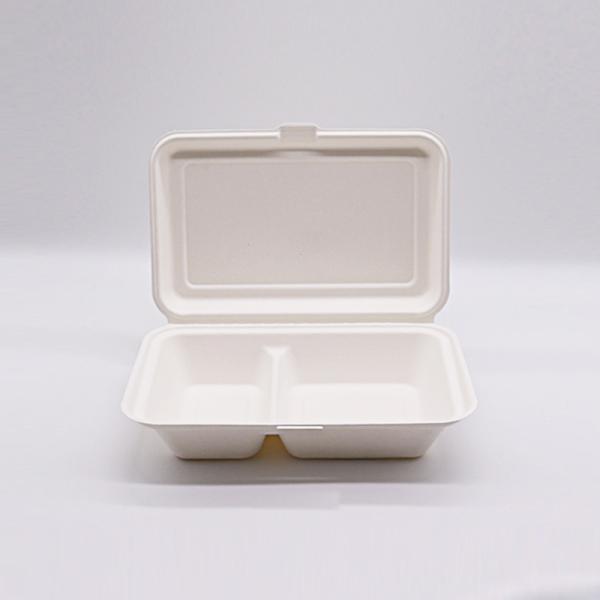 Reduce plastic Biodegradable Disposable Eco future food containers tabelware