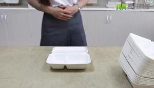 China 8&quot; heavy duty compostable microwave and refrigerator safe takeaway biodegradable food packaging wholesale