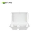 Container Eco-friendly Sugarcane Pulp Takeaway Food Packaging Box Alternative to