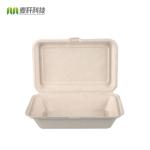 Biodegrabable bagasse pulp Clamshell Lunch Box