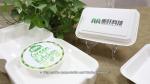 9"*6 "inch Bagasse Paper Takeaway Box , 1000ml Takeaway Packaging Container