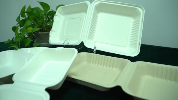 biodegradable disposable sugarcane bagasse takeaway food container packaging 3