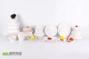 China Eco-Friendly 100% Compostable Sugarcane/Bagasse Heavy Duty container wholesale