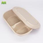 Clamshell Biodegradable Food Container , Eco Friendly Disposable Takeaway