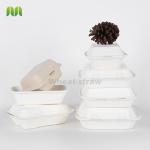9"*6 "inch Bagasse Paper Takeaway Box , 1000ml Takeaway Packaging Container