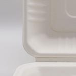 Biodegradable Food Container Eco-friendly 3-C Clamshell Box Cake Packaging Food