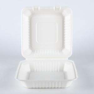 China 9x9 inches bagasse heavy duty take out lunch box hinged clamshell container wholesale