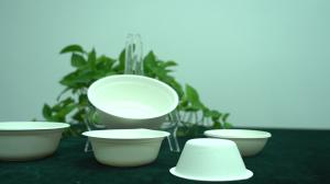 China Disposable bagasse pulp food storage containers wholesale