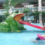 Frog Shape Water Pool Slides, Aqua Park Fiberglass Small Slide For Kids