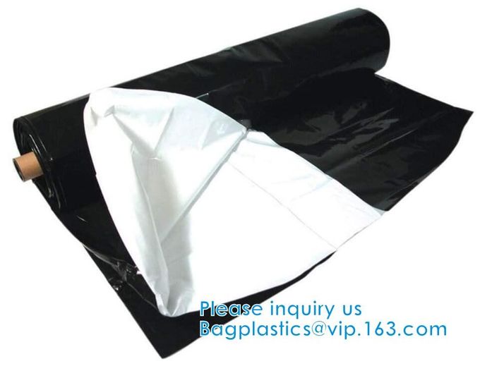 perforated ground film, Vapor Barrier film, Greenhouse film, Agricultural Panda Film, Reflective Maylar Film