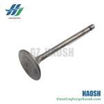 Isuzu Engine Parts Intake Valve 8-94395112-0 8943951120 for Isuzu Npr 4hf1 4hg1