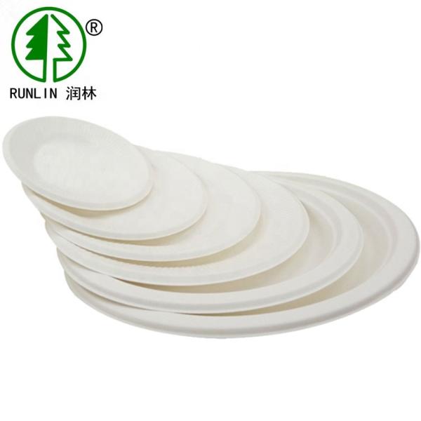 Restaurant Biodegradable Sugarcane Bagasse Plates SGS Food Packaging Flat Round