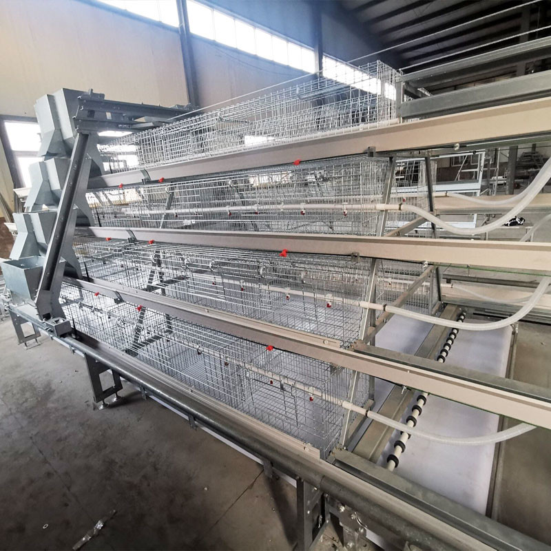 Latest Design A Type Baby Chick Cage With Drinking 13 Chicks / Cell