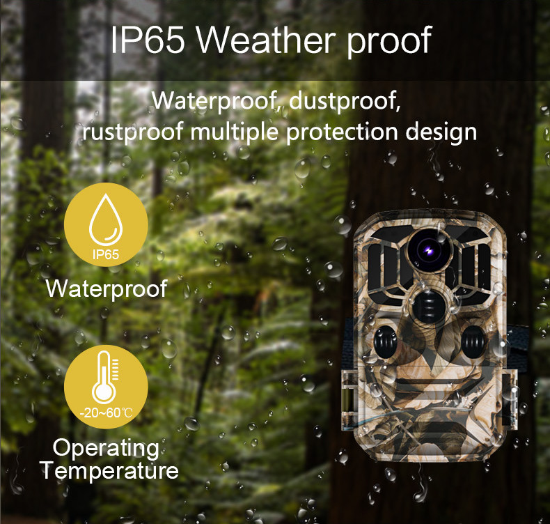 Security Video 4G Night Visvon Hunting Camera Fov 90 IP65 Waterproof