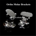 Stainless Steel Hot Dental Ortodoncia Orthodontic Molar Bracket Slot 0.022 Roth