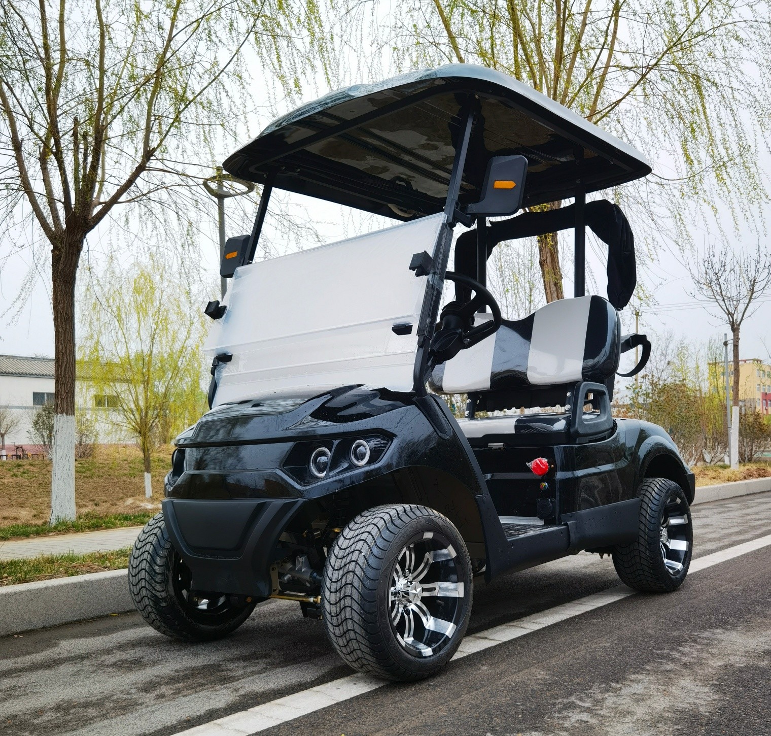 Customized Electric Golf Cart 2 Seater Battery Powered Good Design Lightweight