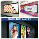 240mic Frontlit Pigment Dye Ink Printing Backlit Film Waterproof PET Film