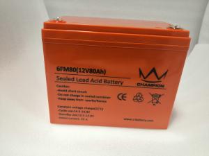 China Black Agm Or Gel Deep Cycle Inverter Batteries For Banks & Financial Centre wholesale