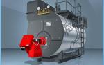 WNS Series Condensing Steam Boiler High Heat Transfer Efficiency Light Oil