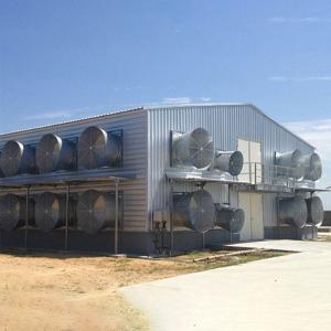 China Custom Modern Steel Frame House , High Strength Metal Chicken House wholesale