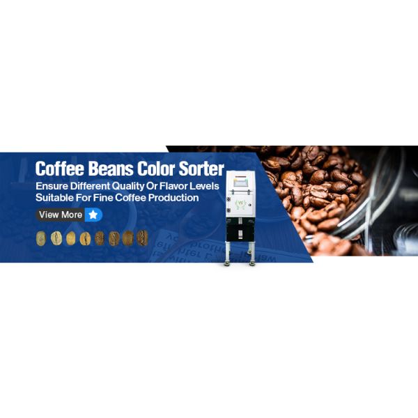 WENYAO Coffee Bean Selecting Machines Coffee Bean Separation AI Optical Sorting Machines