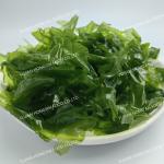 Umami Flavored Seaweed Japanese Seaweed Green Laver HACCP Certified for Korean