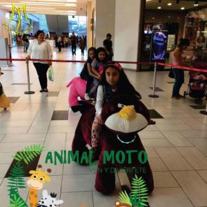 China Hansel amusement park coin operated kids animal toy electric rides wholesale
