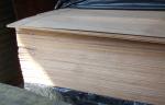 Sapelli Quarter Cut Veneer