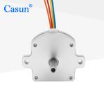 NEMA 11 Double Shaft Stepper Motor Ultra Flat 0.5A 28*28*9.5mm For SMT Feed