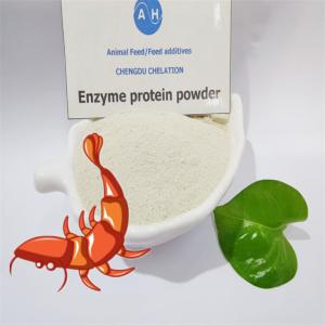 China Enzymatic Process Protein Supplement Powder 80% Crude Protein for feed mill wholesale