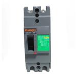 100A EZC250H2100 2P Moulded Case Circuit Breaker MCCB