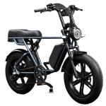 Full Suspension 48V Fat Tire Electric Bike 750W With LCD Display And Rear Hub