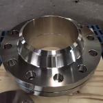 Hastelloy Ring Type Flanges Joint Weld Neck Flanges RTJ Forged Alloy Steel