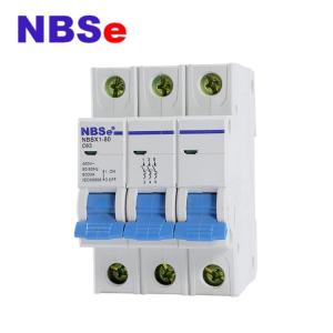 China IEC60898 Double connection 2P 100A Main Switch MCB Circuit Breakers wholesale