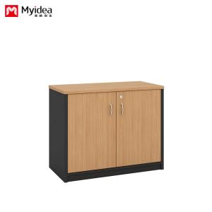 China Wall Mounted Low Cabinet Large Capacity Filing Cabinet with Key Lock Double Door Customizable Classified Storage IP40 Rating wholesale