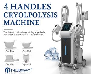 China Professional best price 4 handles can work together cryolipolysis fat removal machine 2019 wholesale