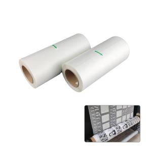 China Translucent 75U DTF PET Film Roll Single Side Matte 30cm 33cm 60cm wholesale