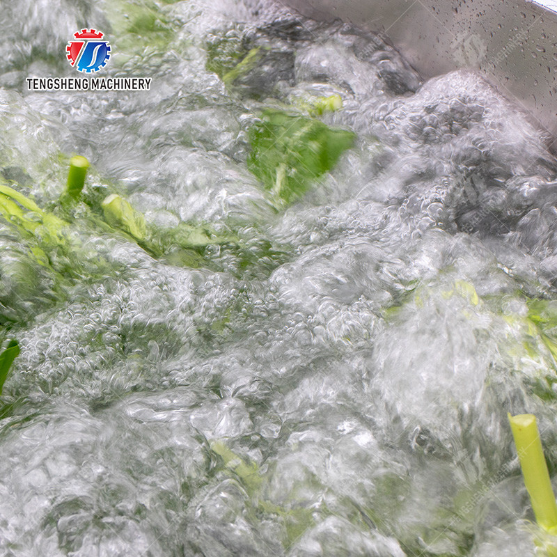 Commercial Fruit And Vegetable Washing Machine High Pressure Water Flow