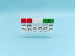 China PCR High-Fidelity DNA Polymerase wholesale