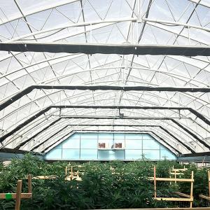 China Agricultural Curtain Fabric Blackout Greenhouse Automatic Control Light Deprivation Greenhouse on sale