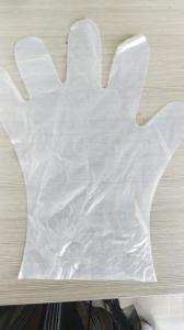 China OEM Compostable Biodegradable Disposable Gloves Food Preparation on sale