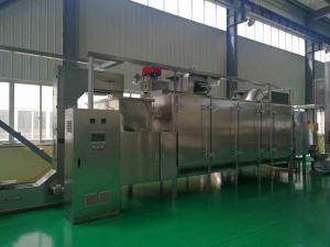 China Continuous Belt Type Peanut Processing Machine For Hazelnuts Cashews Pecan Roasting wholesale