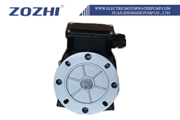 2770 RPM Capacitor Running 3 Phase Induction Motor Capacitor Running TEFC / ODP