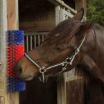 Spinning Livestock Scratching Brush Cow Cleaning Brush For Parasites