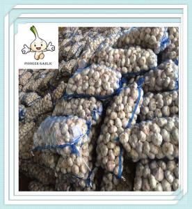 China Chinese Fresh Garlic Jinxiang Red Garlic Purple Garlic 5.0cm 5pcs Bag wholesale