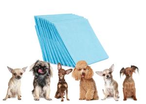 China Disposable Dog Pet Training Pad Biodegradable Soft For Puppy wholesale