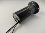 Robust Brushless DC Motor