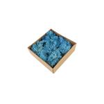 Luxury Home Preserved Natural Moss For All Year Occasions Decoration