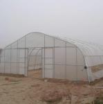 High Quality Clear UV Resistant Greenhouse Film Plastic Agriculture For
